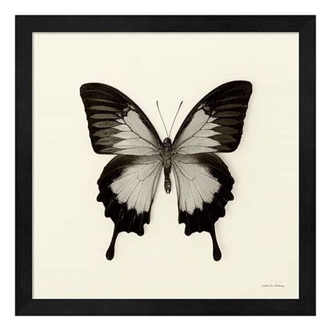 Butterfly Iii Framed Wall Art