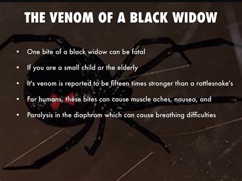 Black Widows By Meghan Moten