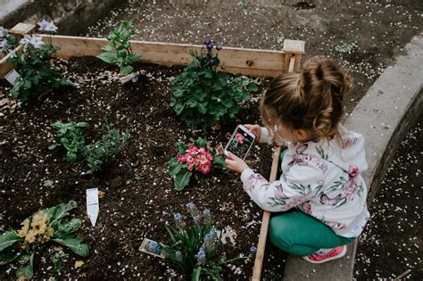 Gardening With Toddlers Introducing Children To Gardening Try To Garden