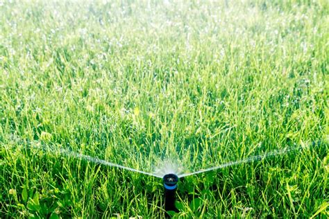 There are some guidelines for watering lawns, but the best understanding of how to water your lawn will come by learning and experience with your. How to Maintain a New Lawn | Watering, Traffic, Mowing ...
