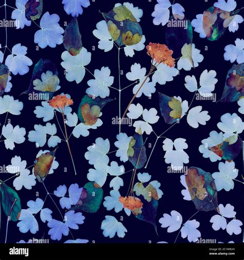 Navy Blue Floral Pattern