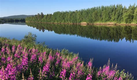 Lapland In The Summer Adventures In Northern Finland And Norway