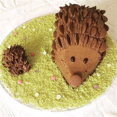 how to make a chocolate hedgehog cake delicious magazine in 2020 hedgehog cake cake