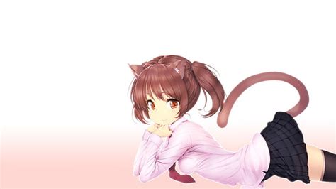 Hd Wallpaper Anime Anime Girls Cat Girl Nekomimi Photo