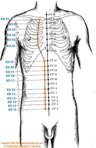 Yin Yang House Acupuncture Points On The Kidney Meridian Acupuncture
