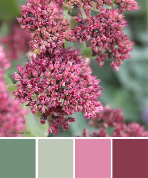 Instagram commenters were also disappointed in kapoor, describing his response as. Farbinspiration Salbeigrün mit Rosa | Herbstfarben, Herbst ...