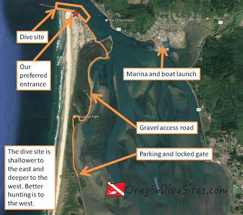 Beaver's tree service of tampa bay. South Jetty on Tillamook Bay - Oregon Dive Sites