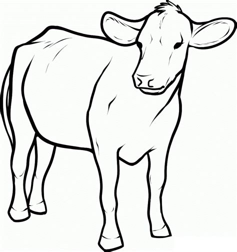 Cow And Calf Coloring Pages Clip Art Library