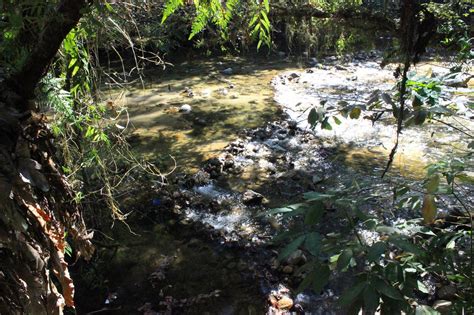 Kuala woh recreational forest in tapah is known as hutan lipur kuala woh in bahasa melayu and is a popular camp site and picnic areas for the locals during the weekends and public holidays. Atuk: HUTAN LIPUR KUALA WOH, PERAK