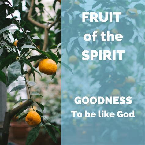 Fruit of the Spirit - GOODNESS