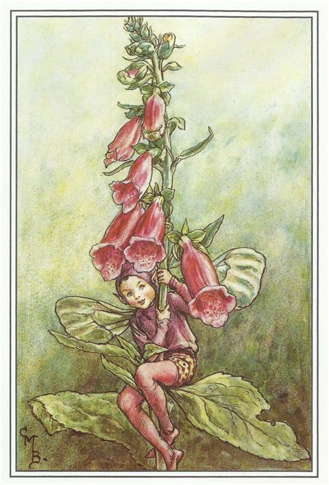 Cicely Mary Barker Foxglove Fairywild Rose Fairy Childrens Etsy Uk