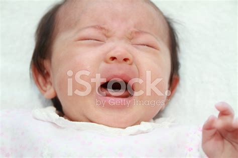 Crying Baby Girl Japanese 0 Year Old Stock Photo Royalty Free