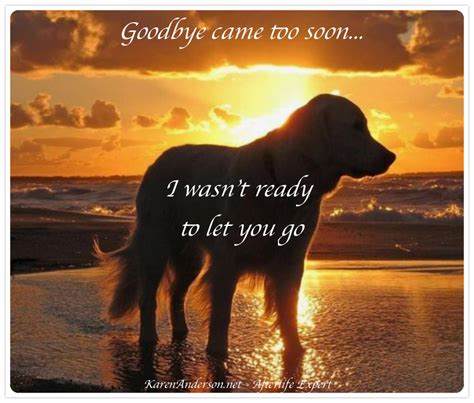Saying Goodbye To A Dog Quotes My Quotes