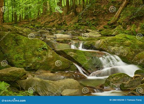 Stream Flowing Through Forest Cascades Down Rocks Stock Photo Image