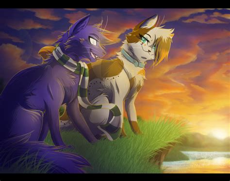 Omg look how fat she is xd!!! Sunset Friends | Warrior cats name generator, Warrior cat ...