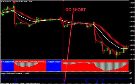 Best Forex Trading System Review As Your Guide