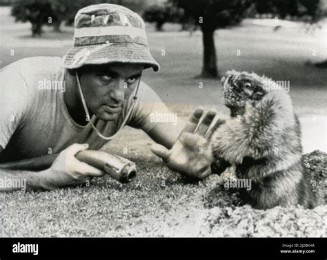 American Actor Bill Murray In The Movie Caddyshack Usa 1980 Stock