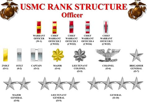 Usmc Rank Structure Usmc Ranks Usmc Marine Corps Bootcamp