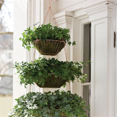 Hanging Wire Baskets Planter Martha Stewart