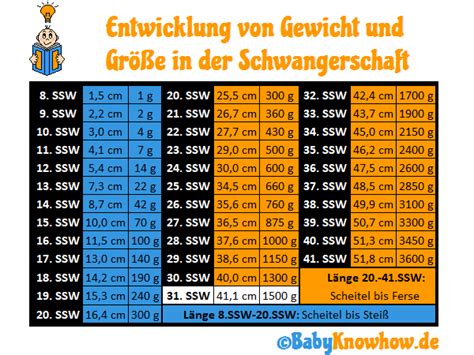 Überblick über normalwerte für hcg in der schwangerschaft 31. SSW: Entwicklung, Kindsbewegung & Risiko für Frühgeburt