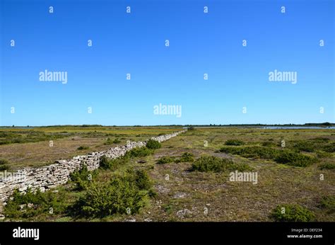 Old Stonewall Through A Great Plain Area On The Island Oland In Sweden