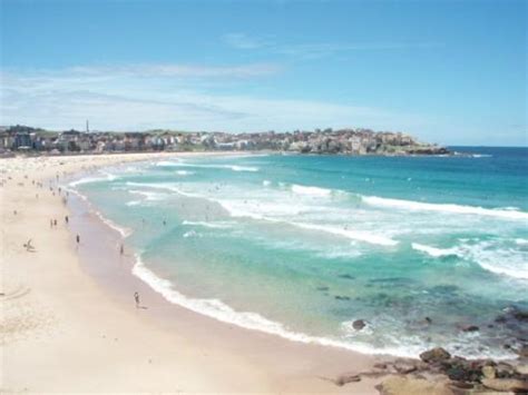 What To Do And See In Bondi New South Wales The Best Sightseeing Tours