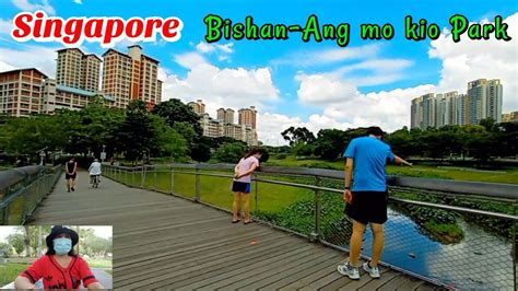 Singapore Bishan Ang Mo Kio Park Bridge View Is One Of A Kind Here