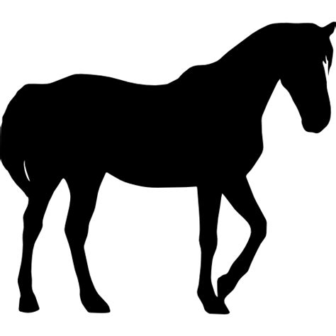Horse Black Silhouette Free Animals Icons