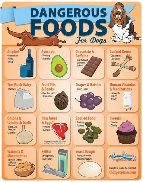 These 20 vegetables for dogs are all safe and highly nutritious. Dangerous Foods for Dogs (infographic) | thatpetplace.com ...