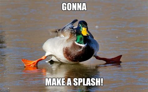 Image Tagged In Ducksfunny Duck Imgflip
