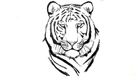 How do you draw a tiger head? Train to draw Tiger head drawing - Draw it yourself! 🖌
