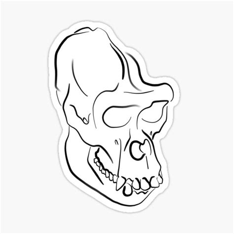 Ape Skull Outline Right Sticker For Sale By Andrewrhodesart Redbubble