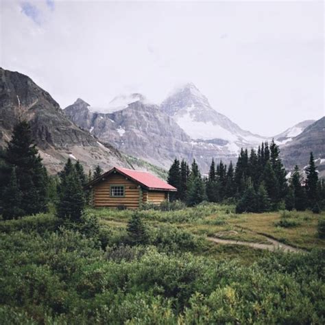 Maybe you would like to learn more about one of these? log cabin on Tumblr
