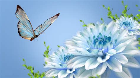 Use them in commercial designs under lifetime, perpetual & worldwide rights. Animated Pictures of Blue Flowers and Butterfly in HD ...