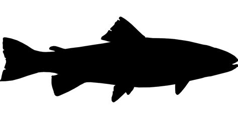 Free Image On Pixabay Fish Black Fishing Silhouette Fish