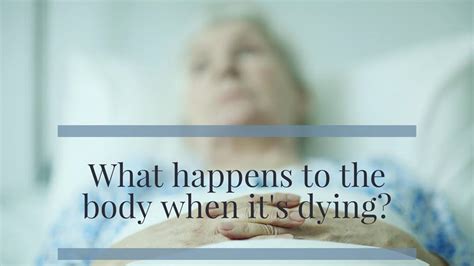 Understanding The Process Of Dying And How To Provide Support