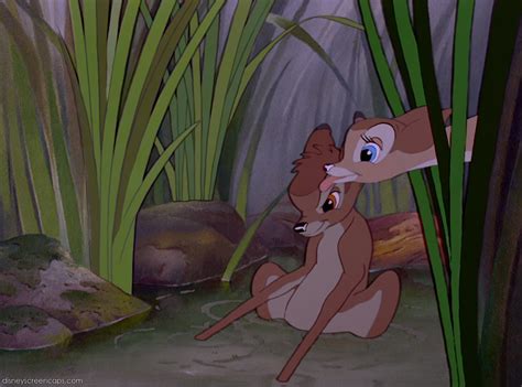 Image Bambi 2841 Disney Wiki Fandom
