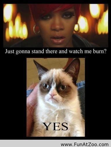 Funny Grumpy Cat Does It Again Funny Picture Grumpy Cat Quotes Funny