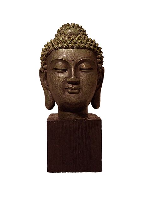 We did not find results for: Gautama Buddha PNG images free download
