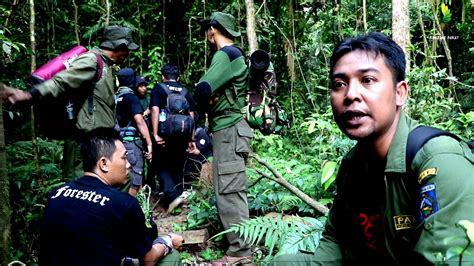 Patroli Rutin Tim Pengamanan Hutan Bkph Rinjani Barat Youtube