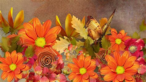 Autumn Flowers And Butterfly Hd Wallpaper Background Image 1920x1080
