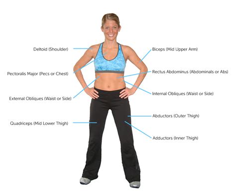 Gym machine and muscle names. Fitness: My Muscles | Center for Young Women's Health