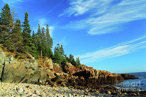 Hunters Beach Acadia National Park Maine Photograph By Maili Page