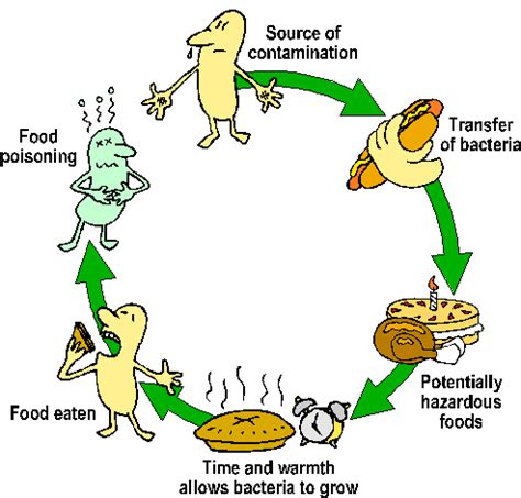 Salmonella can contaminate almost any food, including meats, poultry, eggs, unpasteurized milk or juice, cheese and contaminated raw fruits, vegetables, spices and nuts. Team:IIT Kharagpur/Blog - 2015.igem.org