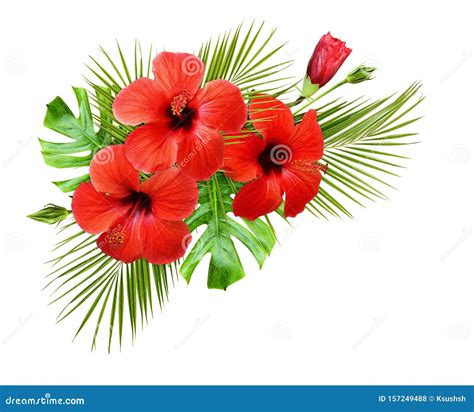 Red Hibiscus Flowers And Palm Leaves In A Corner Tropical Arrangement