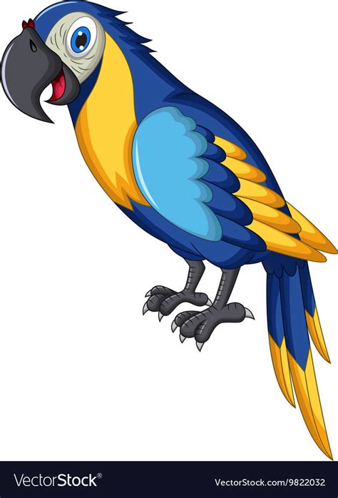 Cute Parrot Cartoon Royalty Free Vector Image Vectorstock