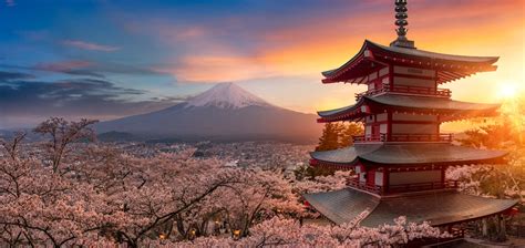 Hanami La Mística Tradición Japonesa De Admirar Los Cerezos En Flor