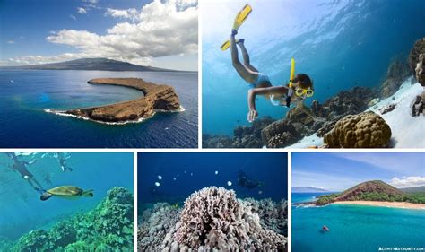 Maui Snorkeling Trips Molokini Crater And Turtle Town Tours