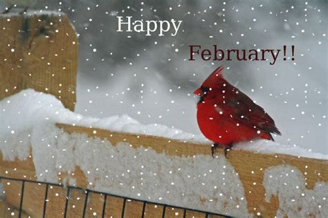 Happy February Pictures, Photos, and Images for Facebook, Tumblr ...