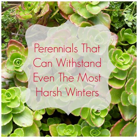 We did not find results for: What You Can Plant Now That Can Actually Survive The ...